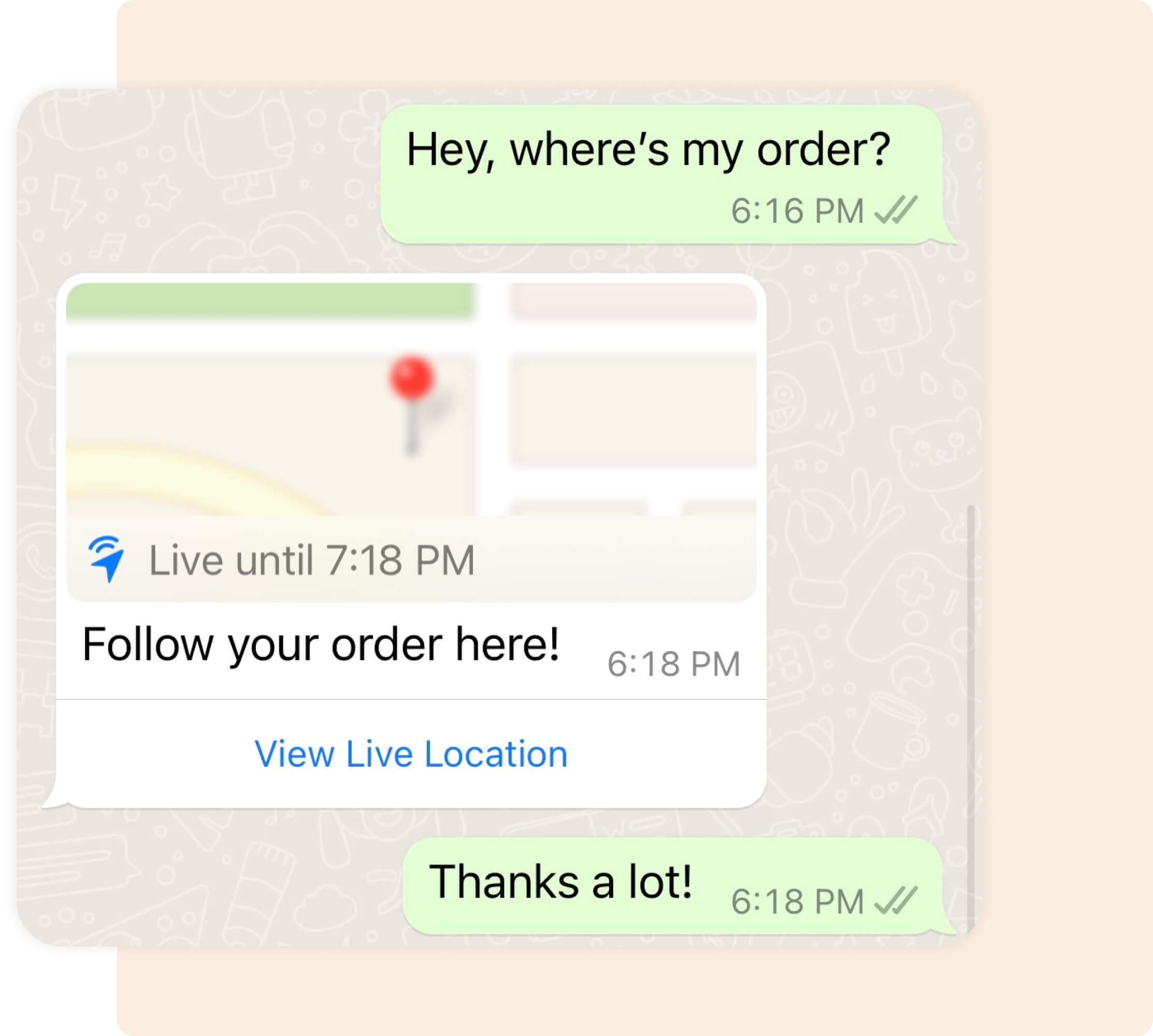 WhatsApp conversation showing rich media